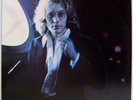 Warren Zevon - SELF-TITLED - 1976 Asylum  - LP # 7E-1060  MINT