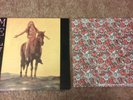 LP Record - Melvins Self Titled Lysol album. Black tape over the orig title