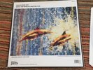 the stone roses fools gold what the world is waiting for 12 inch vinyl 1989 mint