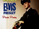 ELVIS PRESLEY – PRIVATE PRESLEY - VERY LIMITED 2017 DOUBLE VINYL ALBUM - RARE