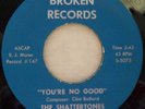 GARAGE NORTHERN SOUL SHATTERTONES BROKEN 147 YOU'RE NO GOOD/TRY ME VG++ R&B