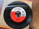 FRANTIC FREDDIE AND THE PRO-TEENS USA ROCKABILLY CHARMAINE