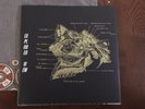Exploded View ?– Exploded View (LP) limited edition, Sacred Bones, Mint, #168