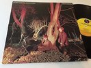 ECHO AND THE BUNNYMEN NM Crocodiles SIRE SRK 6096 Near Mint album vinyl