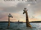 Carrie Newcomer / A Permeable Life - Vinyl LP + Download