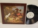 PROCOL HARUM Exotic Birds & Fruit 1974 NM  WHITE LABEL PROMO Chrysalis CHT-1058