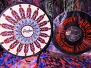 SCARCE 1970 Orig THE GOGGLES = LOOKING THROUGH COLOR GOGGLES Sunshine POP psych