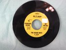Beach Boys, Do It Again / Wake The World, Capitol P 2239, 1968, PROMO, Rock