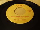 THE UNIQUES - GHOST RIDERS IN THE SKY Hawaii Hawaiian 45 rpm