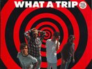 THE STONE ROSES - What A Trip 12