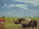 Lone Rhino Adrian Belew vinyl LP album record UK ILPS9675 ISLAND 1982