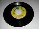 HONEY POT/IN THESE LAST TIME - THE EMOTIONALS [ROOTS REGGAE]   7