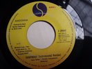 MADONNA - Everybody / Instrumental - RARE GUATEMALA DIDECA 45 1982