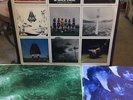 Pink Floyd A Nice Pair 2LP SABB-11257 EX VINYL Syd Barrett Piper & Saucerful