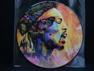 Jimi Hendrix - Live At The Isle Of Wight 1970.12' LP Picture Disc.(South Africa)