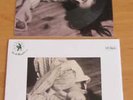 Kate Bush The Fog Flexi Picture Disc Postcard + Picture Sleeve Poland