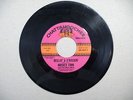 Mickey Finn - Reelin' & A Rockin' / I Still Want You (VG) 1964 #7116