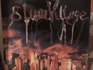 SLUM VILLAGE FANTASTIC 2 DILLA MADLIB HIP HOP