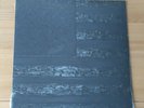 UK Decay New Hope For The Dead 2013 Euro LP Oil Effect Sleeve New Post Punk Goth