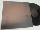 MT. MOUNTAIN LP DUST NEW UNPLAYED PSYCH CARDINAL FUZZ RARE OUT OF PRINT