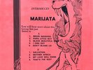 Pat Thomas Introduces Marijata LP rare Academy Reissue Hand numbered /100