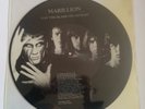 Marillion - Lay the Blame on Genesis - Vinyl - Picture Disc - Collector's Item