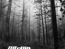 The Cure A Forest on 12