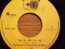 Patricio Rey Y Sus Redonditos de Ricota Ñam Fri Frufi RARE PERU 45