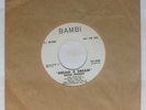 Doo-Wop 45 - Mood Makers - Dream A Dream/Dolores - Bambi - VG+ mp3