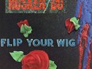 Hüsker Dü ?– Flip Your Wig LP