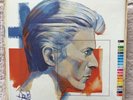 David Bowie Fashions 10 x Vinyl Picture Disc Set BOW100.