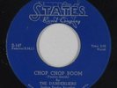 Doo-Wop R&B 45 - Danderliers - Chop Chop Boom/My Autumn Love - States - mp3
