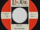 Doo-Wop Popcorn 45 - Charmers - Shy Guy - Laurie - mp3