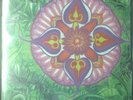 PSYCH LP REISSUE - ST MIKAEL - SOUL FLOWER - SUBLIMINAL SOUNDS 11