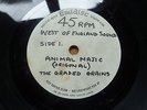 Graded Grains - Animal Magic c/w Lucifer Sam 1967 UK 45 ACETATE HEAR IT
