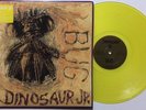 DINOSAUR JR - Bug LP Translucent Yellow Vinyl Newbury Comics Exclusive EX