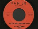 Rare Wisconsin Teen 45   Vilas Craig   Fan Jr.   Listen