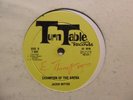 JACKIE MITTOO Champion Of The Arena TURNTABLE Reggae Disco Funk 12” HEAR O7