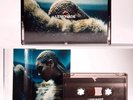 Beyonce Lemonade Cassette Tape vinyl 2015