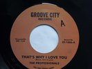Northern Soul,The Professionals, That's Why I Love You.Groove City re-issue