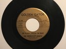 EMERALD CITY BANDITS Gypsy’s Warning RARE GARAGE SURF Jan & Dean HEAR
