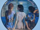 Pink Floyd 'Rare Beauties' 12