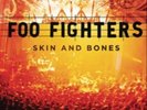 Foo Fighters-Skin and Bones  Vinyl / 12