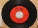 RARE SCARCE PRIVATE PROPERTY OF DIGIL ON 45rpm TEE PEE RECORD LABEL GARAGE PSYCH