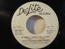Janice Saddler My Baby's Coming Home To Stay Rare 1973 De-Lite RnB Soul Promo 45