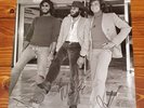 AUTHENTIC THE BEE GEES SIGNED HUGE 16 X 12 PHOTO..REAL SIGNATURES..COA.