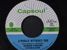 JOHNSON, HAWKINS, TATUM & DURR: A World Without You / You're All I Need To Make