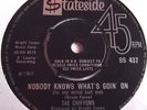 THE CHIFFONS   NOBODY KNOWS WHAT'S GOIN' ON ** 1965 STATESIDE 45