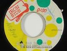 New Establishment/Keith Wilson 