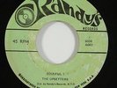 Upsetters 